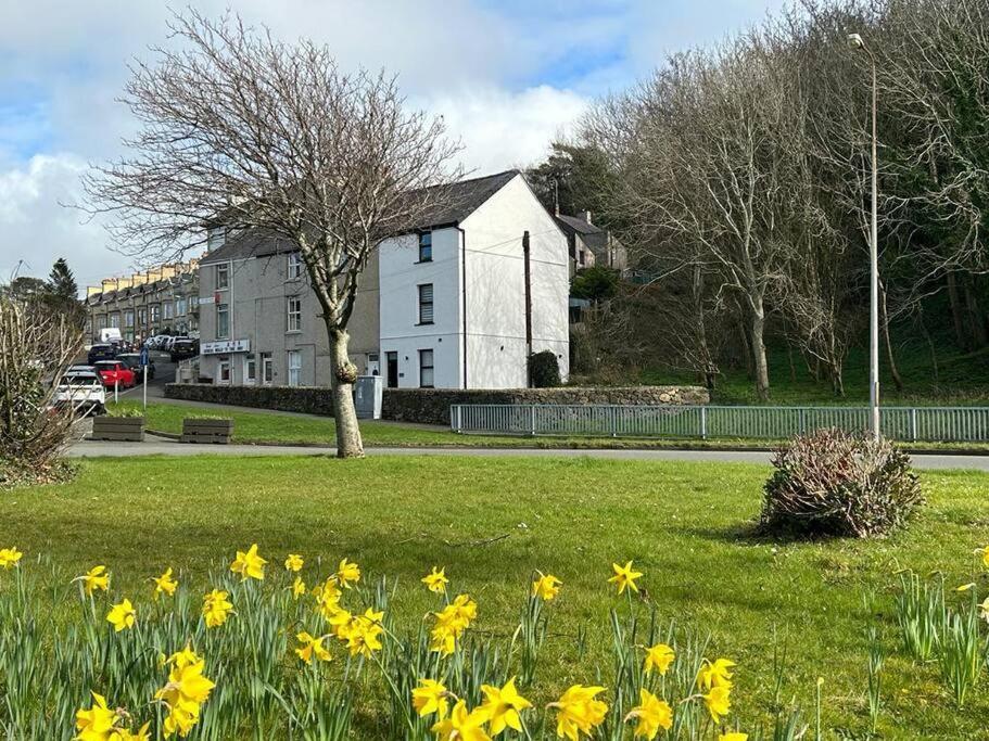 Caernarfon Modern Townhouse Snowdonia Villa Екстериор снимка